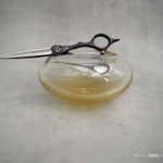 gd-0005